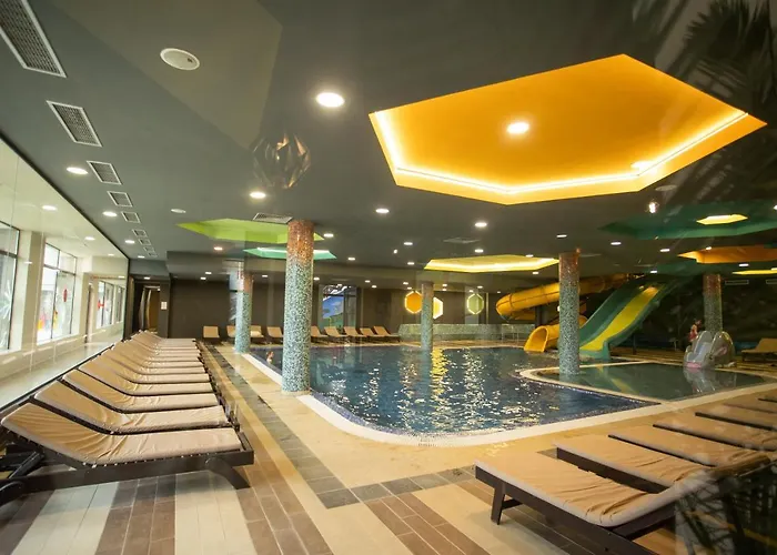 Cardak U Sumi Kopaonik